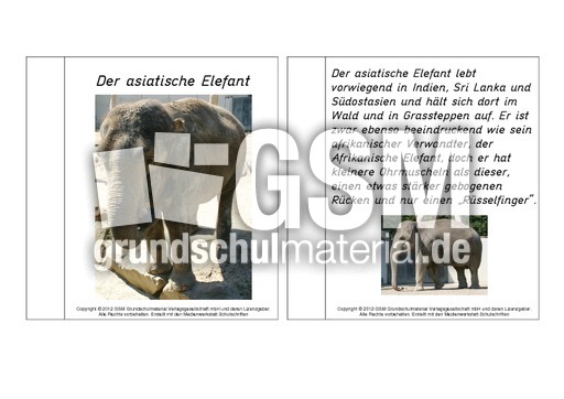 Mini-Buch-für-Lapbook-Asiatischer-Elefant-Lesetext.pdf